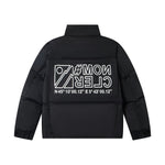 Classic down jacket-2